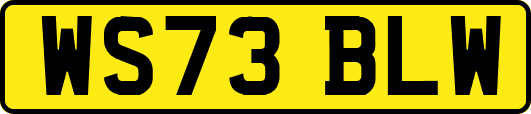 WS73BLW