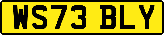 WS73BLY