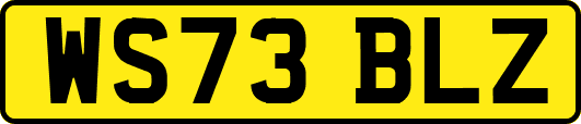 WS73BLZ