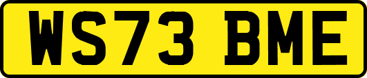 WS73BME