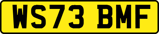WS73BMF