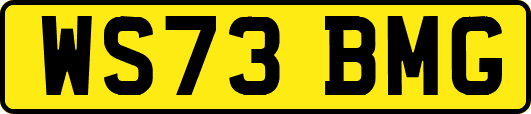 WS73BMG