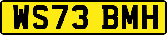 WS73BMH