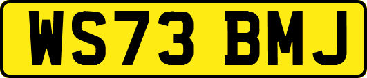 WS73BMJ