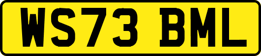 WS73BML