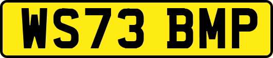 WS73BMP