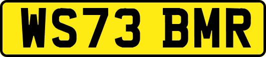 WS73BMR