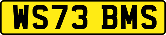 WS73BMS