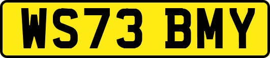 WS73BMY