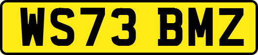 WS73BMZ