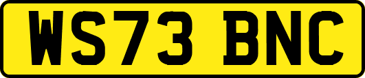 WS73BNC
