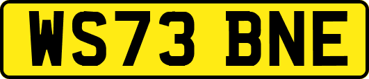 WS73BNE
