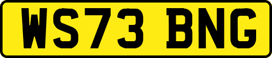 WS73BNG