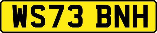 WS73BNH