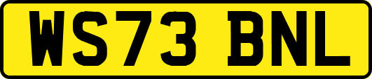 WS73BNL