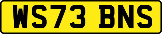 WS73BNS