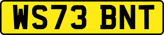 WS73BNT