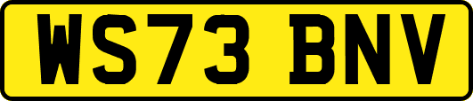 WS73BNV