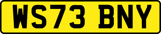 WS73BNY