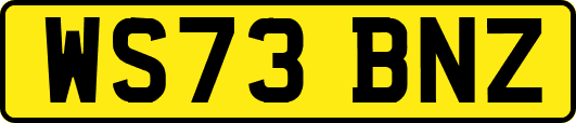 WS73BNZ