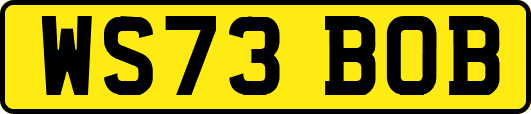 WS73BOB