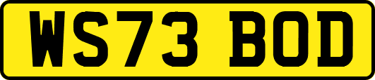 WS73BOD