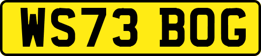 WS73BOG