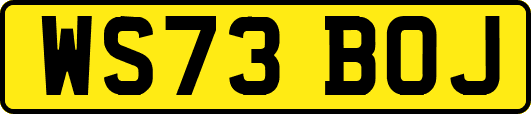 WS73BOJ