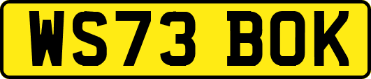 WS73BOK