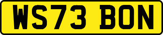 WS73BON