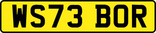 WS73BOR