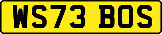 WS73BOS