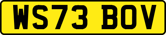 WS73BOV