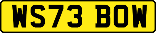 WS73BOW