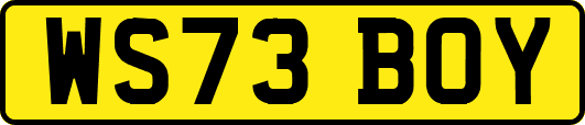 WS73BOY