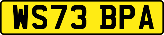 WS73BPA