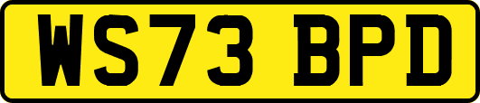 WS73BPD