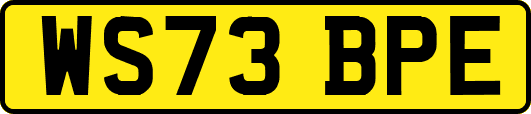 WS73BPE