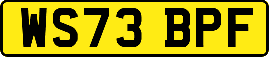 WS73BPF