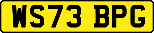 WS73BPG