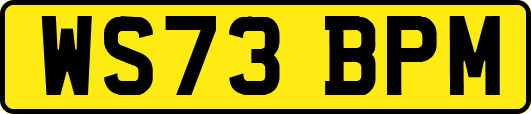 WS73BPM
