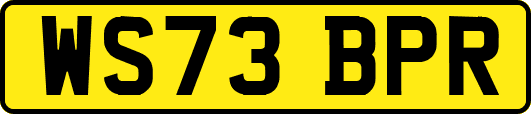 WS73BPR