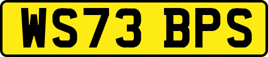 WS73BPS