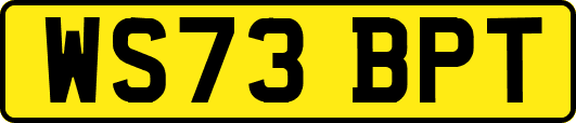 WS73BPT