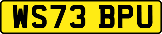 WS73BPU