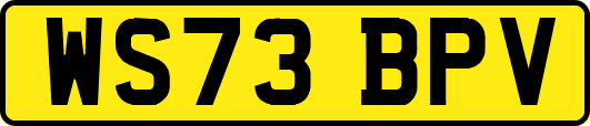 WS73BPV