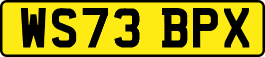 WS73BPX