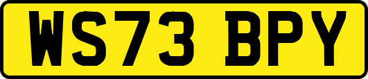 WS73BPY