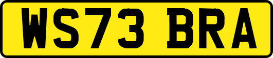 WS73BRA
