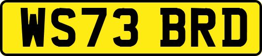 WS73BRD